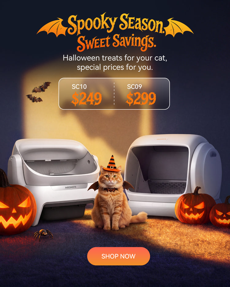 Meowant self-cleaning litter box