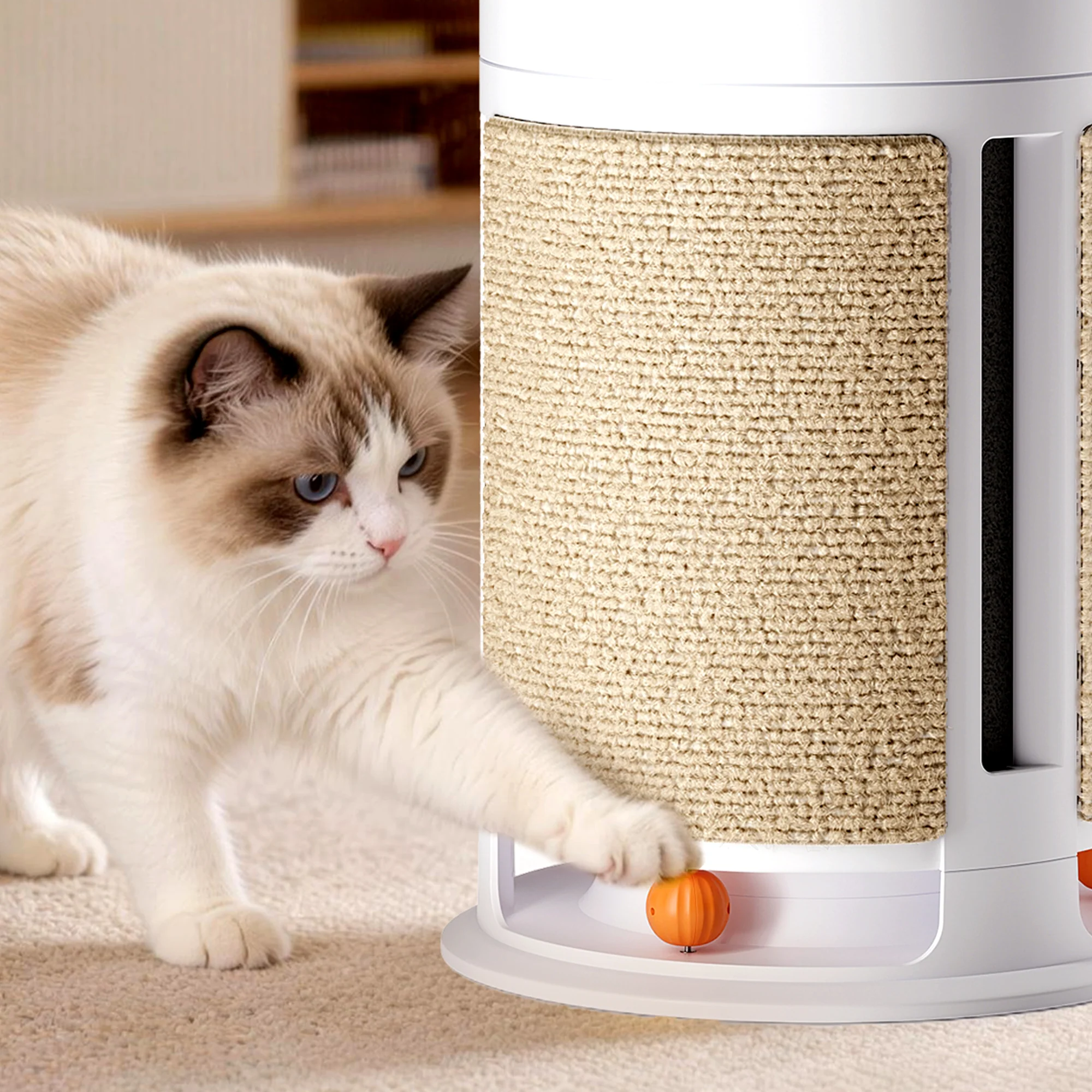Meowant PA08 Kratzbrett für Katzen