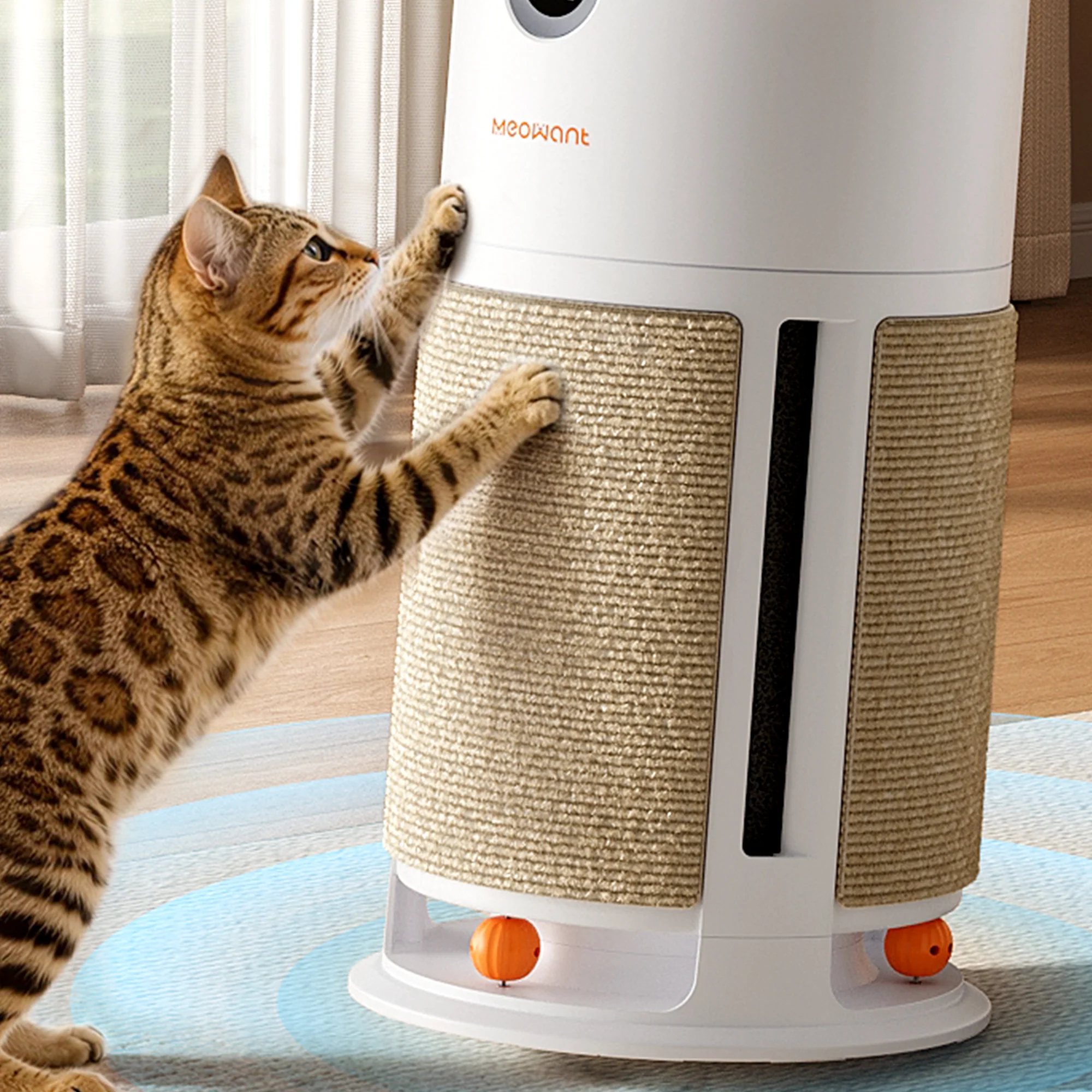 Meowant PA08 Kratzbrett für Katzen