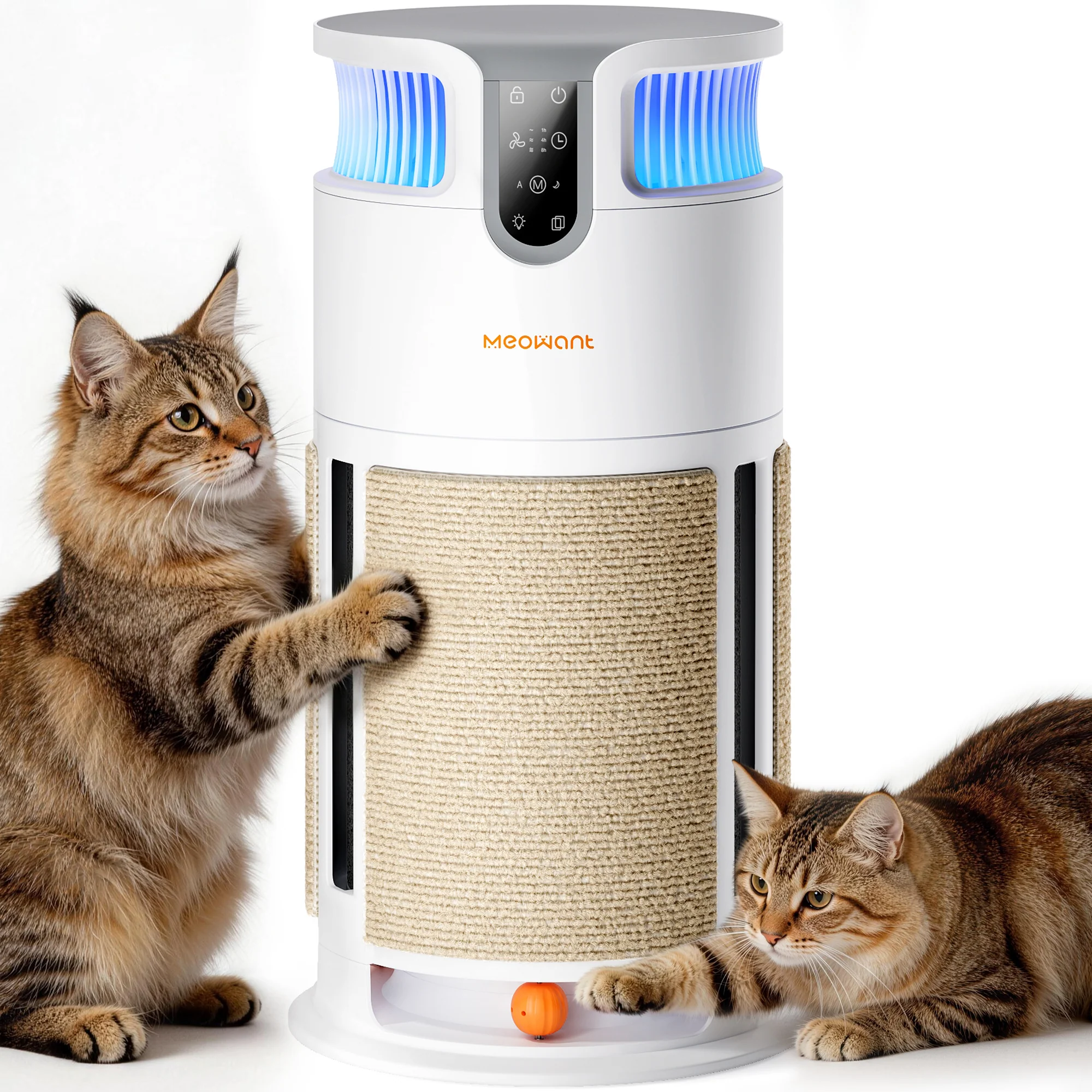 Meowant PA08 Kratzbrett für Katzen